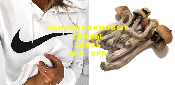 дмт Алексин