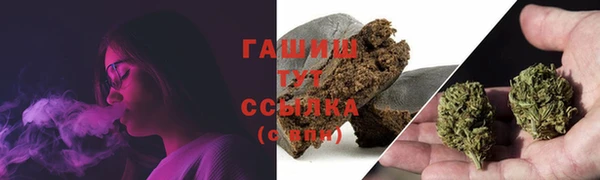PSILOCYBIN Алзамай