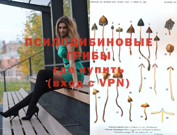 соль ск Алексеевка