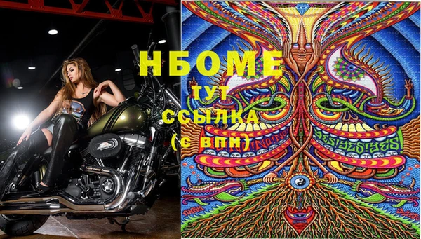 PSILOCYBIN Алзамай