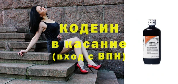 PSILOCYBIN Алзамай