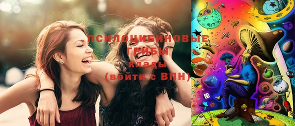 дмт Алексин