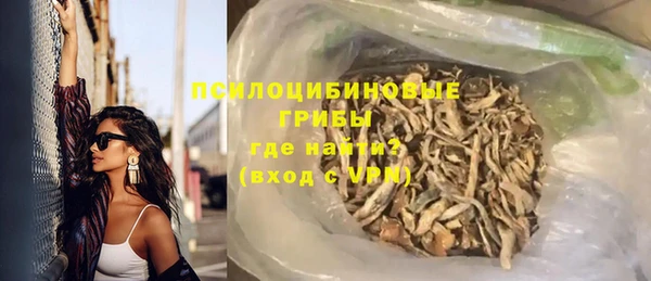 PSILOCYBIN Алзамай
