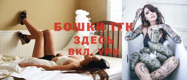 дмт Алексин